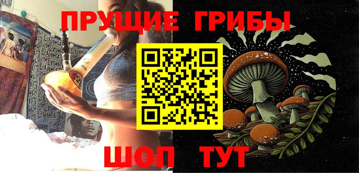 Псилоцибиновые грибы мицелий Семёнов