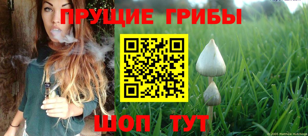 купить наркотик  Вход с VPN  Семёнов  Псилоцибиновые грибы мицелий 